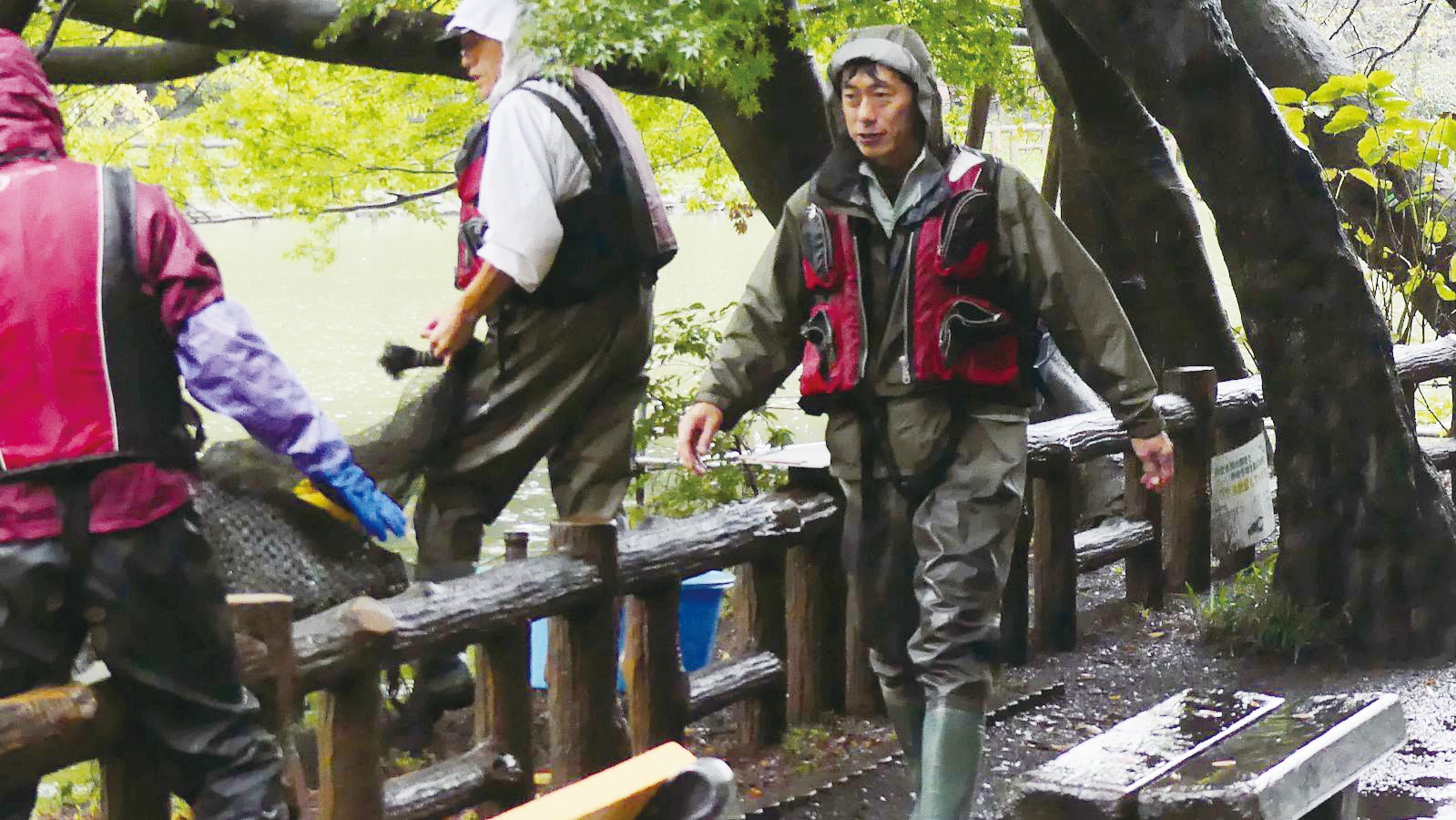 井の頭公園の生き物たち｜第37回「ヒト」