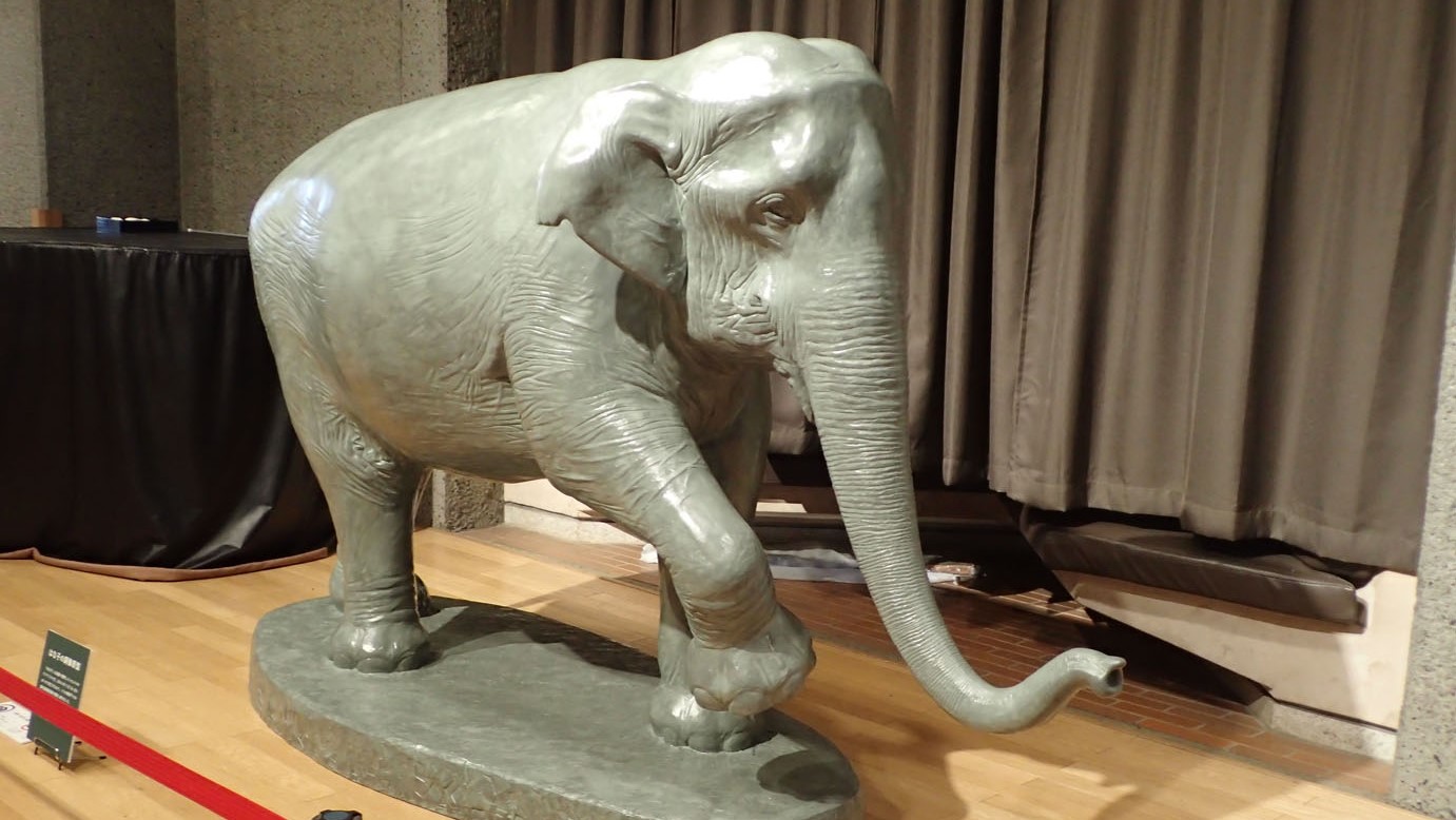 今月のはな子｜第34回「彫刻館のアジアゾウはな子の銅像原型」